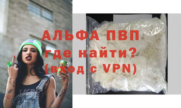 индика Медвежьегорск