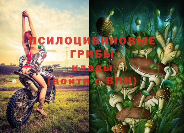 каннабис Медногорск
