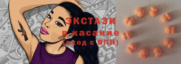 индика Медвежьегорск