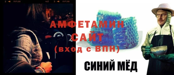 индика Медвежьегорск