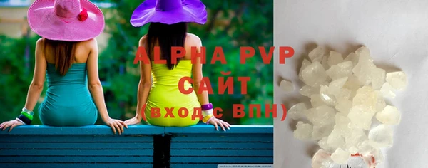 индика Медвежьегорск