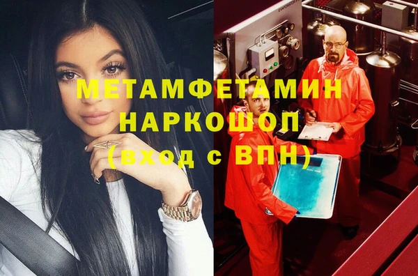 индика Медвежьегорск