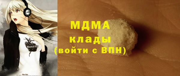 индика Медвежьегорск