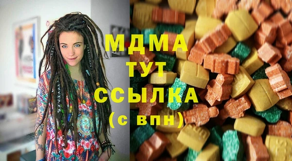 индика Медвежьегорск