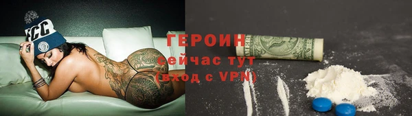 индика Медвежьегорск