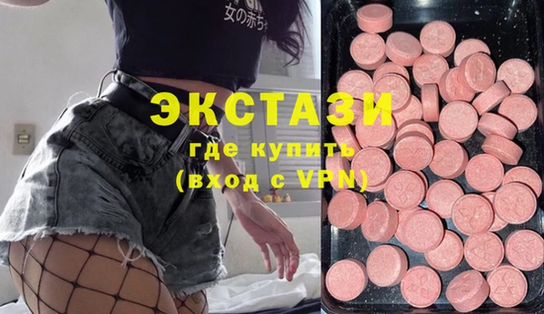 индика Медвежьегорск