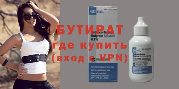 индика Медвежьегорск