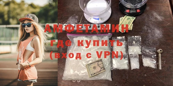 индика Медвежьегорск