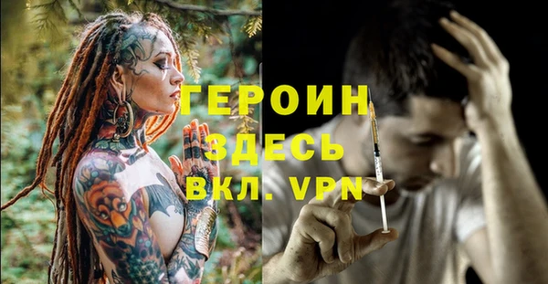 индика Медвежьегорск