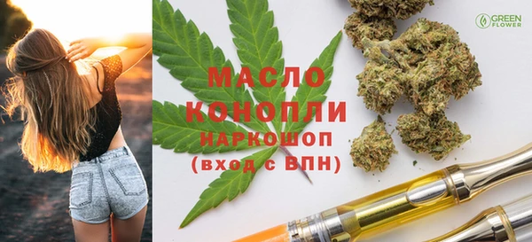 индика Медвежьегорск