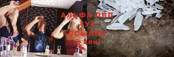 индика Медвежьегорск