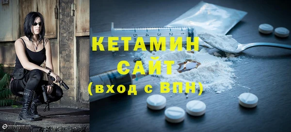 индика Медвежьегорск